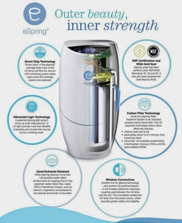 Amway Espring Home Water Treatment System The Research Files